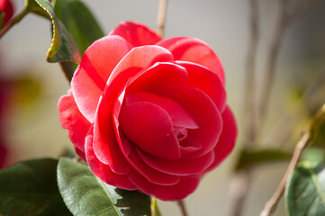 D7C_7997