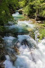 Vintgar Gorges near Bled in Slovenia