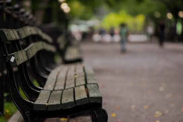 park bench in the park