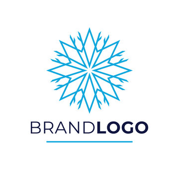 Brand logo vector design. Snowflake blue logotype. Modern logo template.
