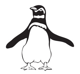 羽を広げて少し上を向いている正面から見たペンギンのイラスト