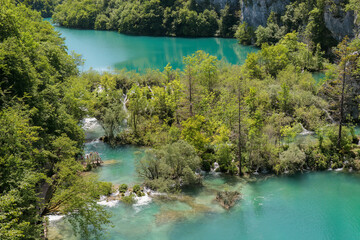 Fototapeta na wymiar Turquoise lake in Plitvice national park - Croatia