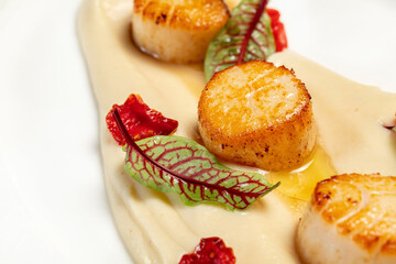Sea scallop with mashed potatoes