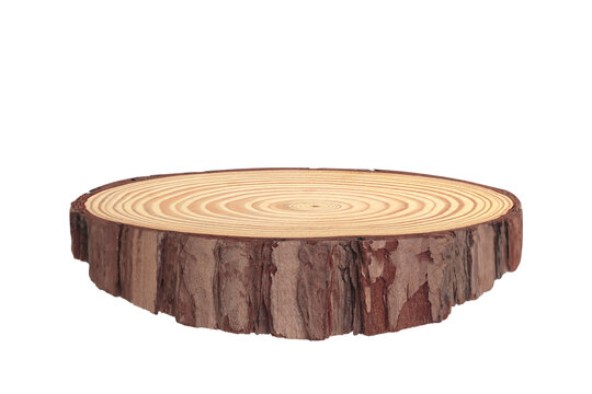 The modern wooden scene for show products, Stump, Cross section of the tree trunk, Wooden eco rustic pine tree wood circle disc platform podium on transparent background