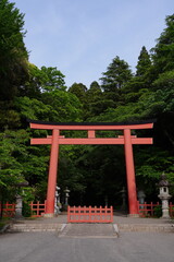 香取神宮、香取神社、香取、神社、katorijinja、katori、jinja、千葉県、日本、神道、仏教、信仰、参道、お参り、初詣、参拝、屋外、空、木、自然、マイナスイオン、観光地、ツアー、
鳥居、赤い、門、gate、入口、灯篭、石灯篭、道、
