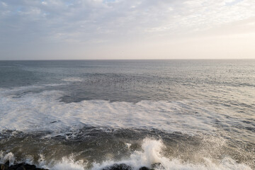 une vue marine où les vagues s'écrasent sur le rivage pendant que des oiseaux dévorent des poissons