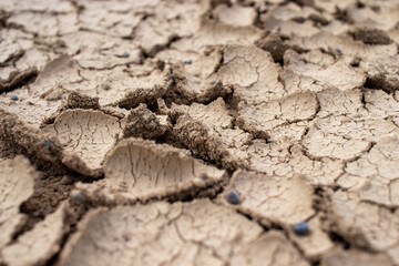 dried cracked soil. climate change and desertification.