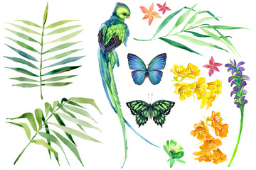 Tropical bird and green plants watercolor set isolated in white. Hand drawn watercolor jungle elements - 596660003