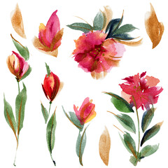 Watercolor pink peony flowers and leaves. A floral elements for ditsy bright decorations.