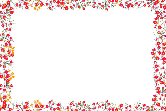 Creative art frame with white empty space for your text. Useful for photo cards,school invitations,advertising. Design template with red and yellow ditsy field flowers.