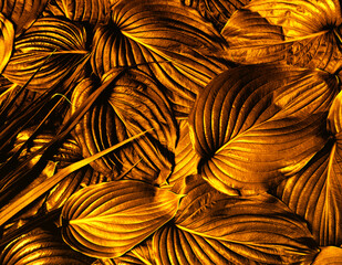 Abstract golden leaves texture
