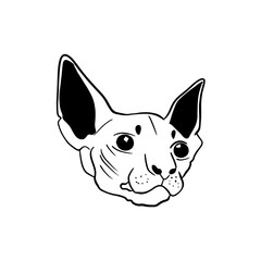 Vector sketch hand drawn sphinx cat head silhouette, doodle art with black lines