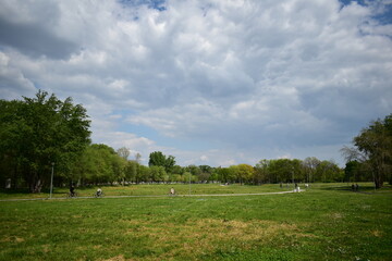 Fototapeta na wymiar grass field in the park in spring 