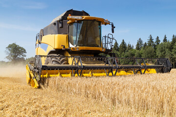 Fototapeta na wymiar Harvesting with combines
