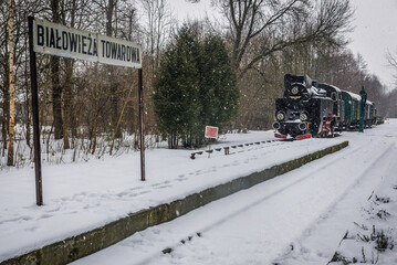 Steam locomotive in Bialowieza Towarowa former railroad station in Bialowieza, Poland