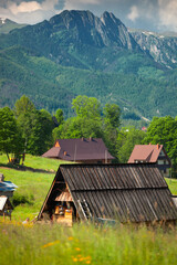 Bacówka na Olczy w Zakopanem. Górskie domy wśród zielonej trawy na tle gór i zachmurzonego nieba.