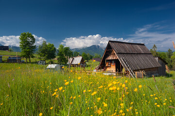 Bacówka na Olczy w Zakopanem. Górskie domy wśród zielonej trawy na tle gór i zachmurzonego nieba.