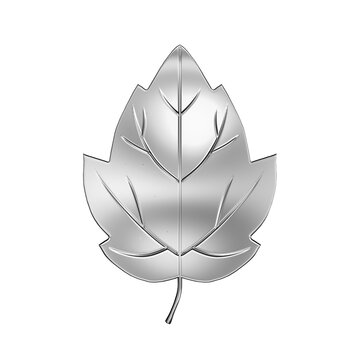 Captivating Silver Leaf On Transparent Background  - Perfect For Design Projects And Nature Themes Monestera Plant Transparent PNG 