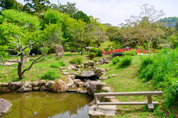 Fototapeta na wymiar 【奈良県】奈良市 萬葉植物園 (2023/04/18撮影)