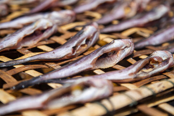 Trockenfisch Nahaufnahme