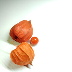 Thanksgiving, holiday symbols, autumn, physalis, fruits for cooking and cosmetology. Elements on white background
