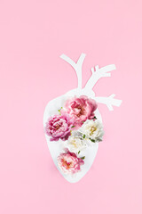 Anatomical paper heart with natural natural flowers on a pink paper background. Therapy, healthcare...