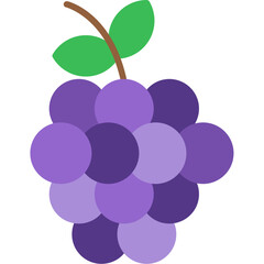 Grapes Icon