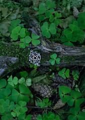 amulet with pentagram on moss, abstract natural dark forest background. spiritual ritual....