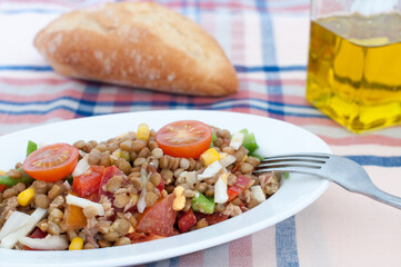 Lentil Salad Delight: A Flavorful and Nutritious Addition to a Healthy Diet