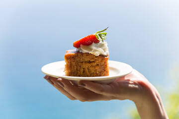 Nice little dessert in nature, a cake white dish in a female hand. © ALEXEY