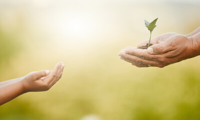 Sharing is caring. Shot of an unrecognizable little boy and his grandfather holding plants growing out of soil.