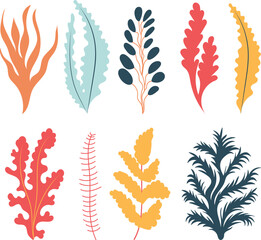algae set, collection in doodle style isolated vector