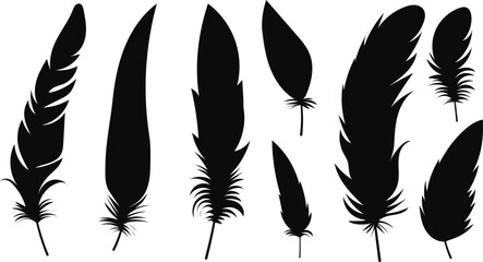 Obraz premium silhouette bird feathers set, collection isolated vector