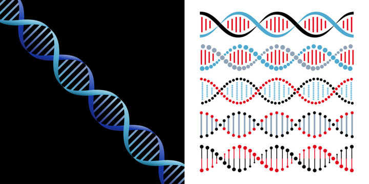 Ensemble de dessins vectoriels de ruban d&rsquo;ADN, symbole m&eacute;dical pour la recherche en laboratoire du g&egrave;ne de vie.