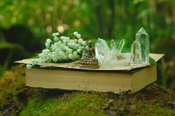 quartz minerals, little Buddha statue, spring flowers and book in forest, green natural background. magic practice. Witchcraft, esoteric spiritual ritual. Mystic, occultism, relax soul, meditation