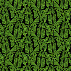 Banana leaves. Tropical green leaves of seamless pattern. Vector illustration for wallpaper, exotic background, fashion, botanical texture, summer print.