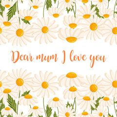 Mother's day greeting card. Seamless pattern for postcard or poster with daisies. Chamomile vector floral illustration for congratulations or decor etc. Festive template can add text.