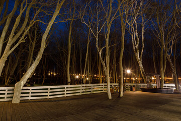 Wooden promenade in the public park of Yantarniy at the night, Russia - 596690864