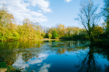 Landscape of the lake in natural parkland in Europe.