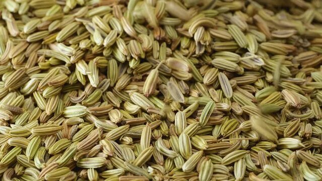 Fennel seeds. Macro shot. Dry fennel seed fall down, macro close up.