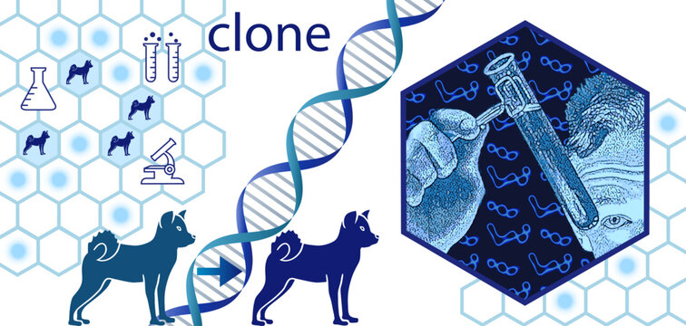 Cloner son fid&egrave;le compagnon, fiction ou r&eacute;alit&eacute; de demain ? - illustration avec un chercheur dans son laboratoire, des chiens, un ruban ADN et des modules cellulaires.