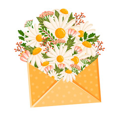 Vector bouquet of daisies and other field plants inside an envelope. Floral illustration with chamomile for greeting card, poster, invitation, decor etc. Flowers for spring and summer holidays.