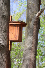 Bird feeder house on a tree in the woods