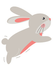 Cute Rabbit Jumping