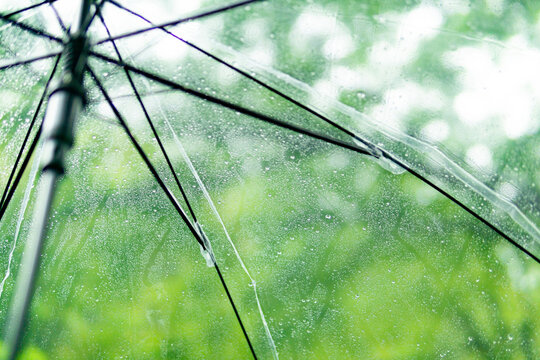 雨と傘