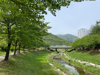 한국 김해시 율하천 산책로에서 촬영한 사진