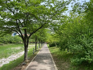 Fototapeta na wymiar 한국 김해시 율하천 산책로에서 촬영한 사진