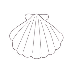 貝がらの手書き線画ベクターイラスト／単色