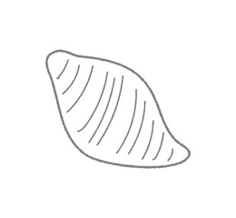 貝がらの手書き線画ベクターイラスト／単色