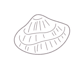貝がらの手書き線画ベクターイラスト／単色